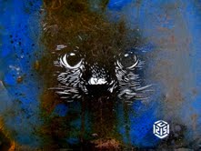 C215 - Mea culpa